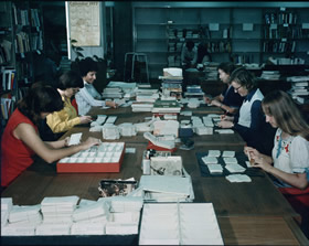Library staff sorting and updating cards for the card catalogue