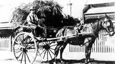 Tom Fitzgerald senior delivering milk by horse and cart, 1920s