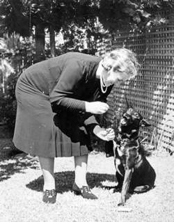 Mrs Elsie Curtin and Kip the dog, Cottesloe, WA, 1942. JCPML00376/21