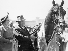 Elsie Curtin at Gloucester Park