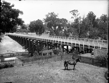Bridge over the Murray River at Pinjarra. Courtesy of the State Library of WA