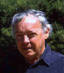Ron Davidson: Author