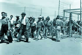 Italian internees, Barmera, SA, 1943