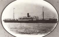 SS Dimboola, 1919