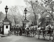 Photograph of President Franklin Roosevelt's Funeral Cortege, 1945, White House photographs taken by Abbie Rowe, 1941-1967, Courtesy of the National Archives, ARC ID 593721.