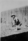 John Curtin Jnr playing cricket at Jarrad St