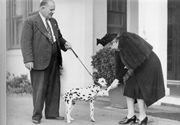 John Curtin Prime Ministerial Library.  Records of the Curtin Family.  Elsie Curtin with chauffeur Ray Tracey and "Dinah" the dog outside the Lodge 194?  JCPML00376/17