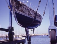 Residual marine growth on hull, March 1988. CUL00039/13/6.