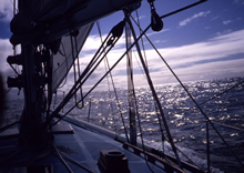 Aboard the Parry Endeavour, 1986 - 1987. CUL00039/18/9.
