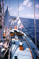 Drying clothes at sea, 9 August to 29 Sepember 1986. CUL00039/19/1.